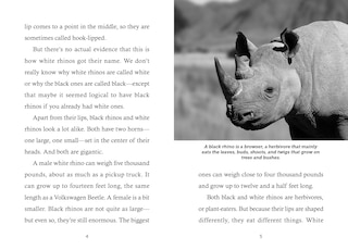 Sample content 2_Save the... Rhinoceroses