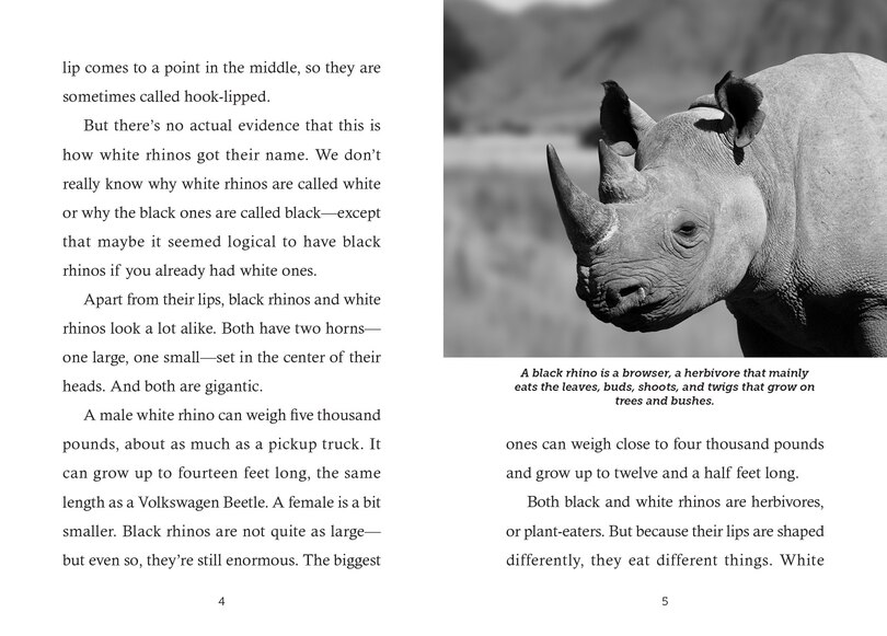 Sample content 2_Save the... Rhinoceroses