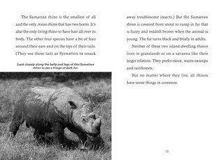 Sample content 5_Save the... Rhinoceroses