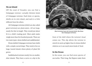 Sample content 3_Save the...Turtles