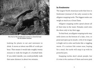 Sample content 5_Save the...Turtles