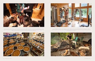 Sample content 2_Saved by the Pack