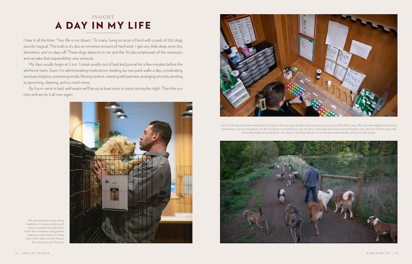 Sample content 3_Saved by the Pack