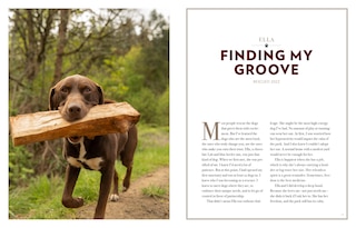 Sample content 4_Saved by the Pack