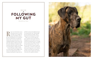 Sample content 5_Saved by the Pack