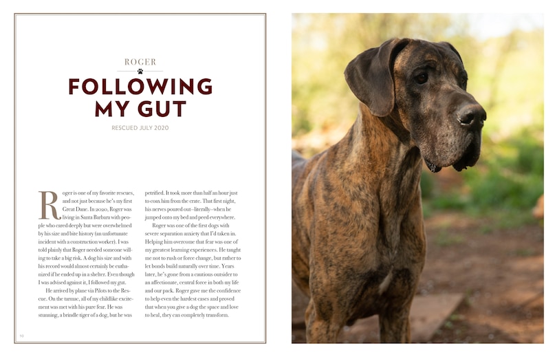 Sample content 5_Saved by the Pack