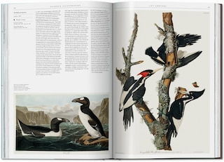 Sample content 5_Science Illustration. A History Of Visual Knowledge From The 15th Century To Today