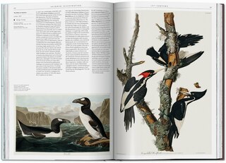 Aperçu du contenu 5_Science Illustration. A History Of Visual Knowledge From The 15th Century To Today