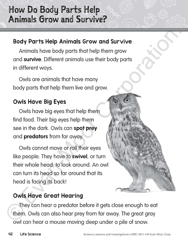 Sample content 2_Science Lessons and Investigations, Grade 1 Teacher Resource