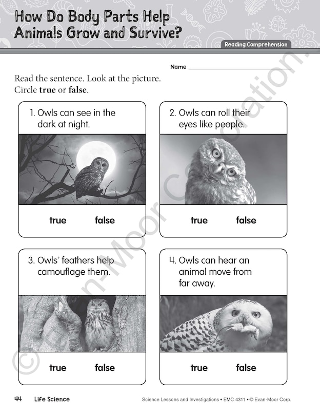 Sample content 3_Science Lessons and Investigations, Grade 1 Teacher Resource
