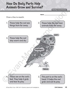 Sample content 4_Science Lessons and Investigations, Grade 1 Teacher Resource