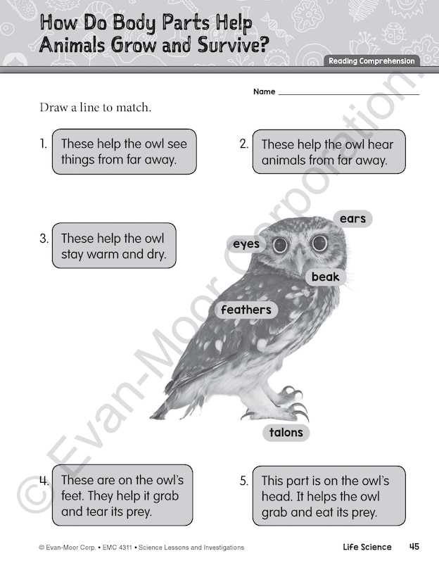 Sample content 4_Science Lessons and Investigations, Grade 1 Teacher Resource