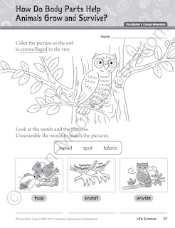 Sample content 5_Science Lessons and Investigations, Grade 1 Teacher Resource