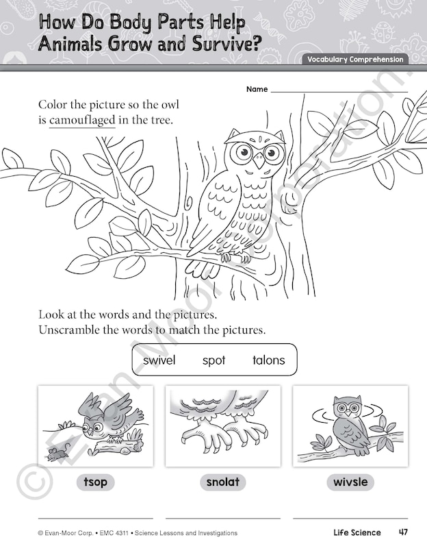 Sample content 5_Science Lessons and Investigations, Grade 1 Teacher Resource