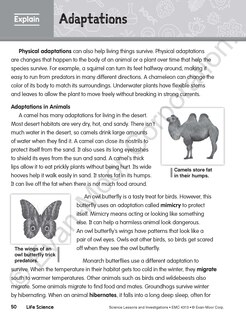 Sample content 5_Science Lessons and Investigations, Grade 3 Teacher Resource