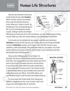 Sample content 2_Science Lessons and Investigations, Grade 4 Teacher Resource