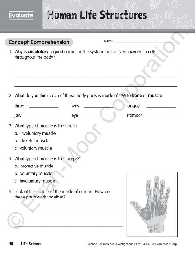 Sample content 4_Science Lessons and Investigations, Grade 4 Teacher Resource