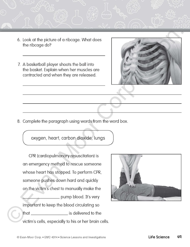 Sample content 5_Science Lessons and Investigations, Grade 4 Teacher Resource
