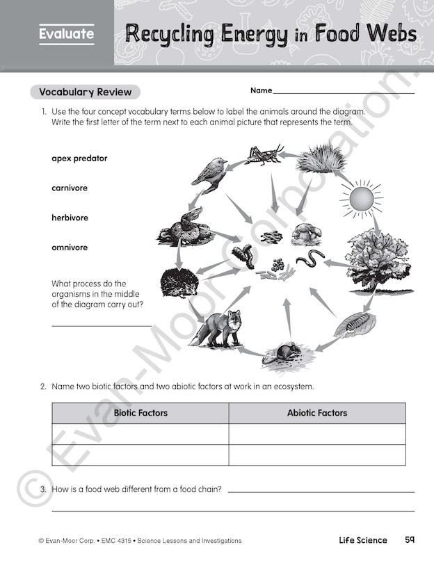 Sample content 5_Science Lessons and Investigations, Grade 5 Teacher Resource
