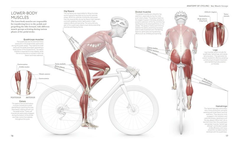 Sample content 5_Science of Cycling