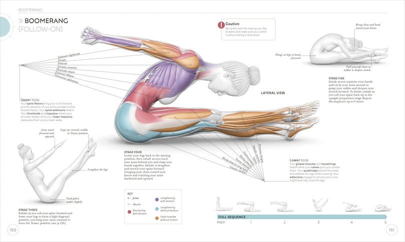 Sample content 3_Science Of Pilates