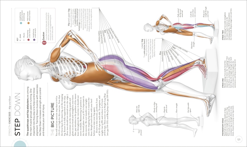 Aper&ccedil;u du contenu 3_Science Of Running