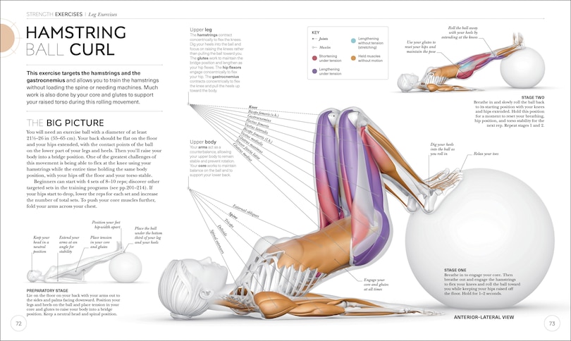 Sample content 3_Science Of Strength Training