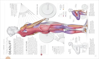 Sample content 4_Science Of Strength Training