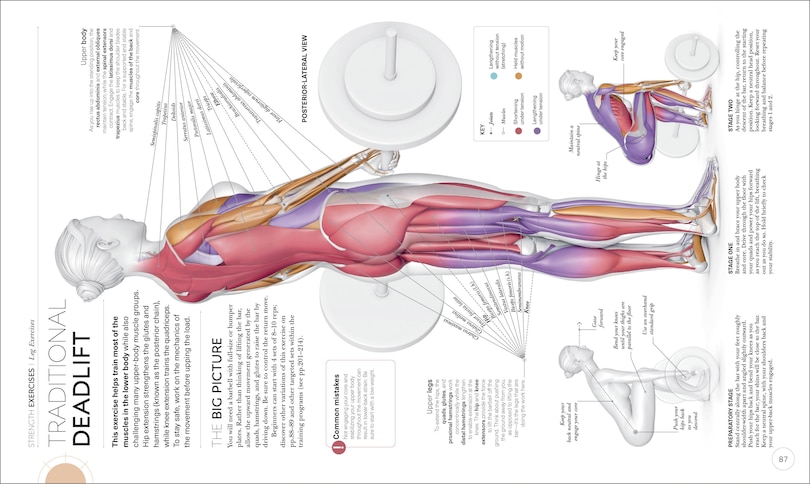 Sample content 4_Science Of Strength Training