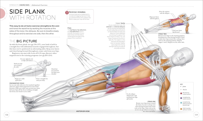 Sample content 5_Science Of Strength Training