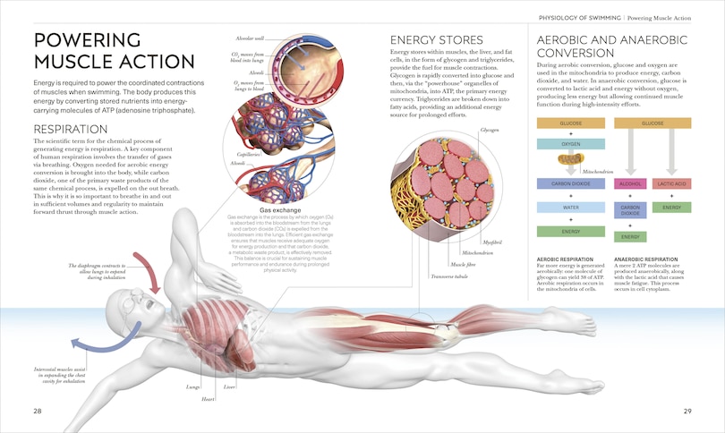 Sample content 2_Science of Swimming