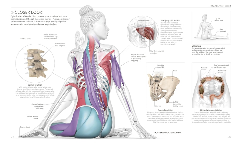 Sample content 4_Science of Yoga