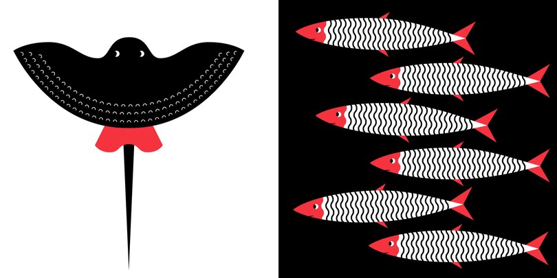 Aper&ccedil;u du contenu_Sea Animals