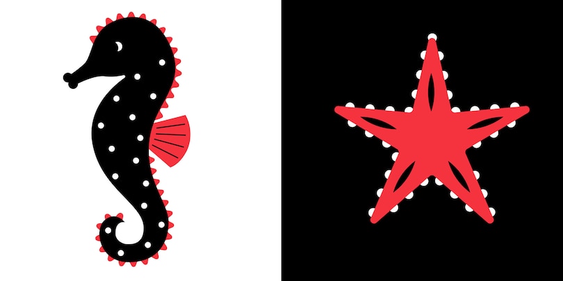 Aper&ccedil;u du contenu 3_Sea Animals