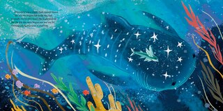 Sample content 5_Sea of Constellations