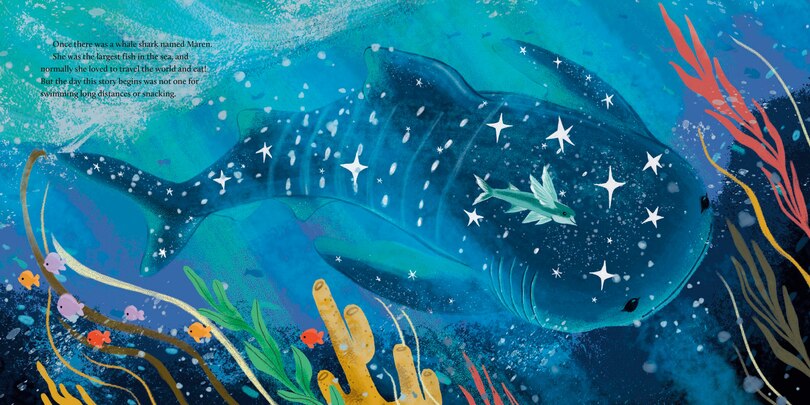 Sample content 5_Sea of Constellations