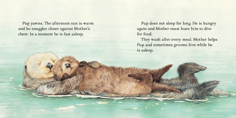 Sample content 3_Sea Otter Pup