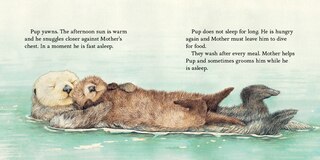 Sample content 3_Sea Otter Pup