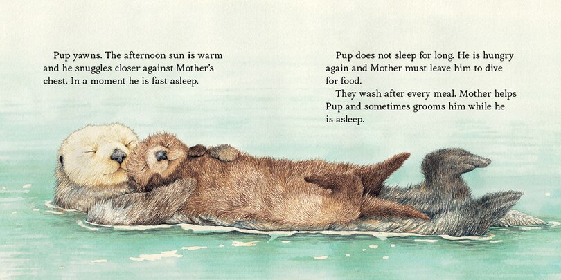 Sample content 3_Sea Otter Pup