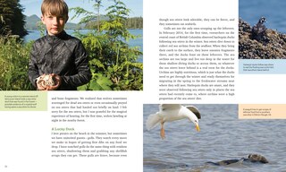 Sample content 3_Sea Otters