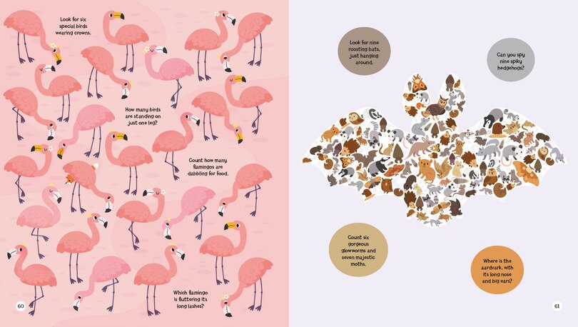 Aperçu du contenu_Search And Find: Animals