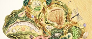 Aper&ccedil;u du contenu 2_Searching for Treasure