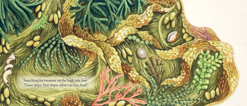 Aper&ccedil;u du contenu 3_Searching for Treasure