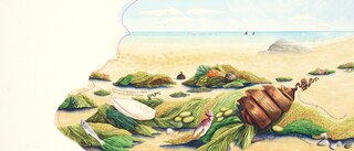 Aper&ccedil;u du contenu 4_Searching for Treasure