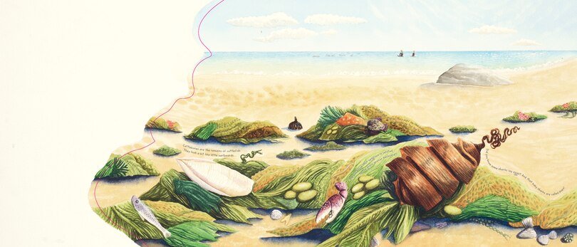 Aper&ccedil;u du contenu 4_Searching for Treasure