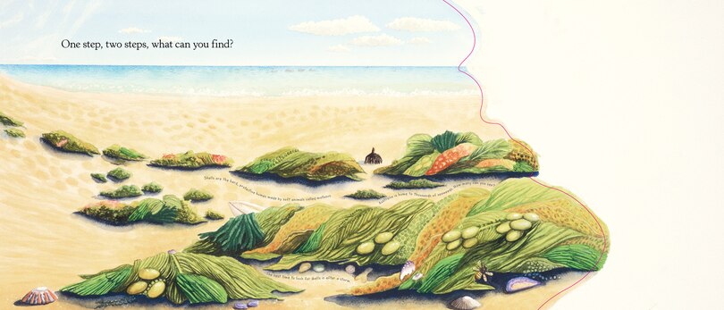 Aper&ccedil;u du contenu 5_Searching for Treasure