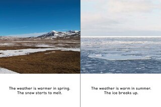 Sample content 3_Seasonal Cycles