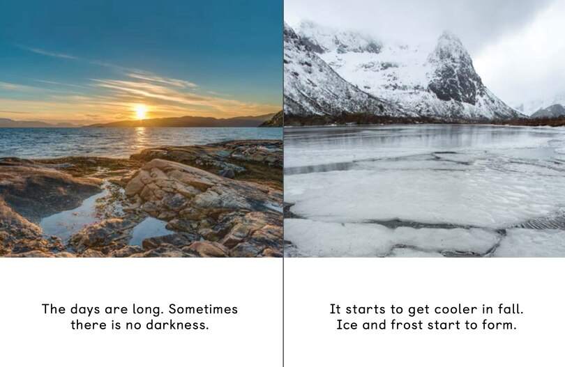 Sample content 4_Seasonal Cycles