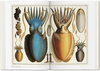 Sample content_Seba. Cabinet Of Natural Curiosities