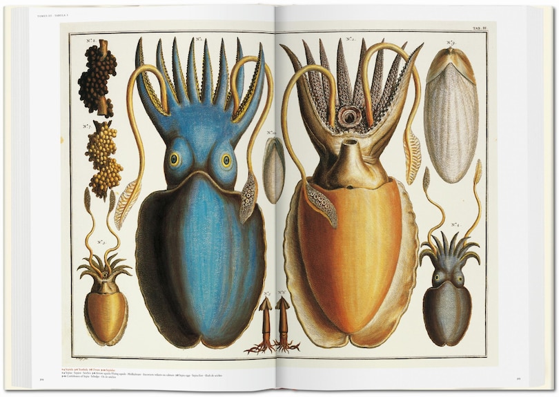 Sample content_Seba. Cabinet Of Natural Curiosities